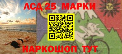 стафф Камышлов