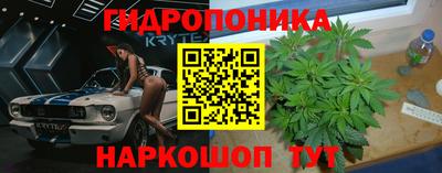 стафф Камышлов