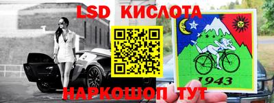 стафф Камышлов