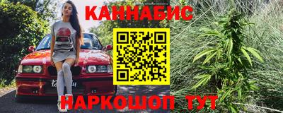 стафф Камышлов