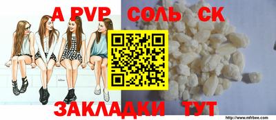 стафф Камышлов