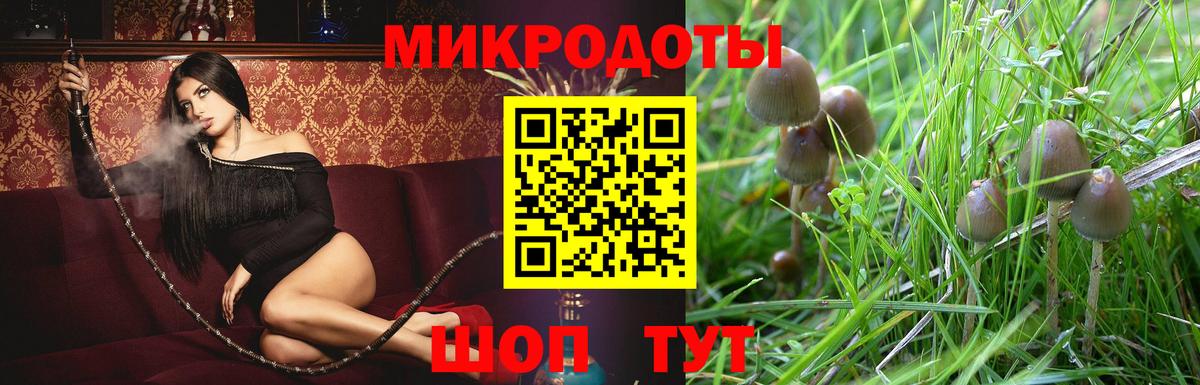 Галлюциногенные грибы Magic Shrooms Урай