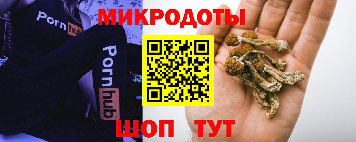 где найти   Вход с VPN  Урай  Псилоцибиновые грибы мухоморы 
